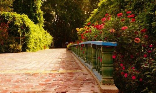 2018園林景觀綠化工程公司路在何方