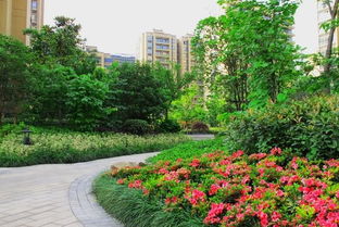 淺談社區園林綠化的養護管理,好養護讓綠化更美麗