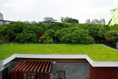 三龍灣大道及相連道路綜合提升 景觀工程 設(shè)計施工總承包工程