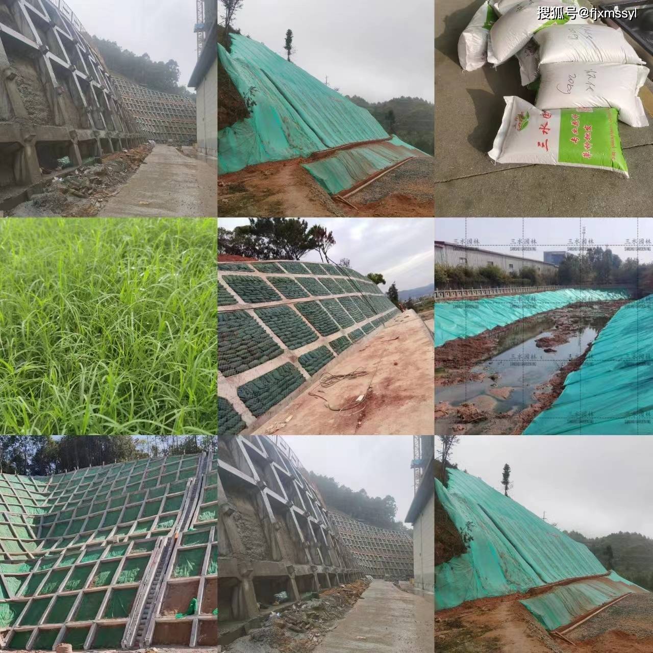 園林綠化景觀花海工程與體育場地設(shè)施工程施工流程詳解