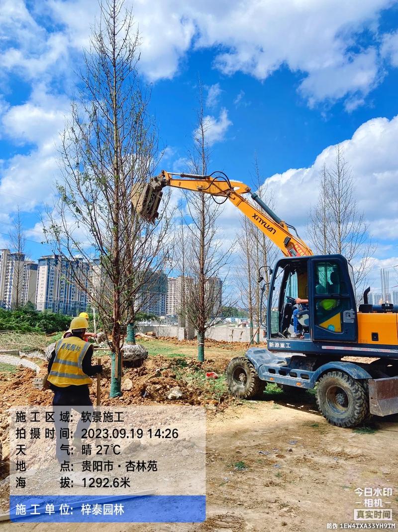 城市綠意的守護(hù)者 園林綠化工程苗木人的施工紀(jì)實